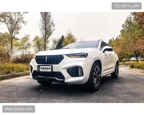 18万坐拥百万配置尊享四出排气，一脚油下去委屈的难以呼吸