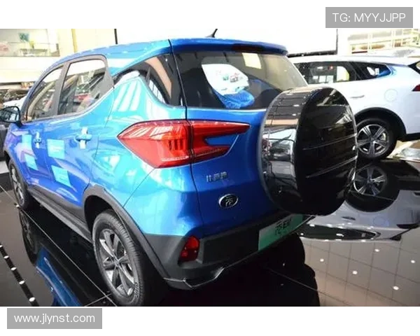 1月中旬预售 新款比亚迪元EV535官图